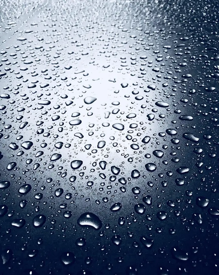 Gel de Limpeza — Principia