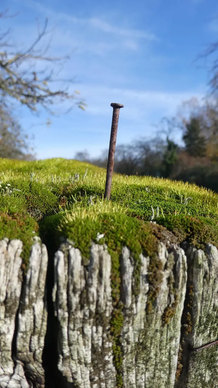 Base Fortalecedora — Granado