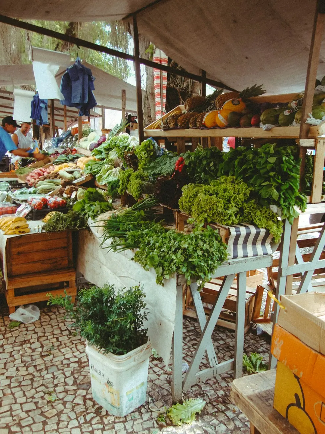 A cor no prato e a pele: como a comida real aparece no rosto