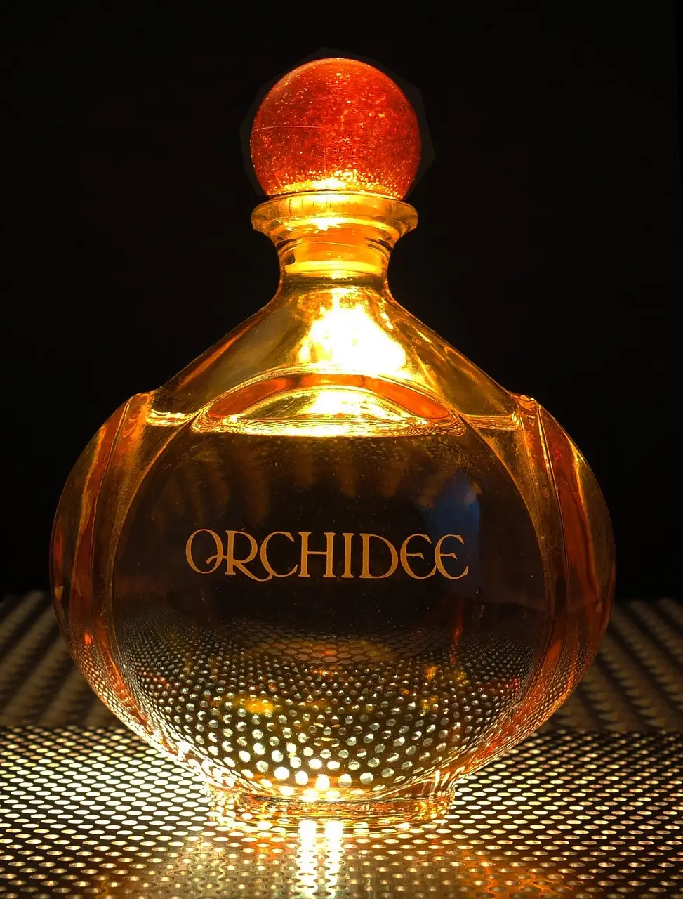 Perfume amadeirado ou floral: como escolher