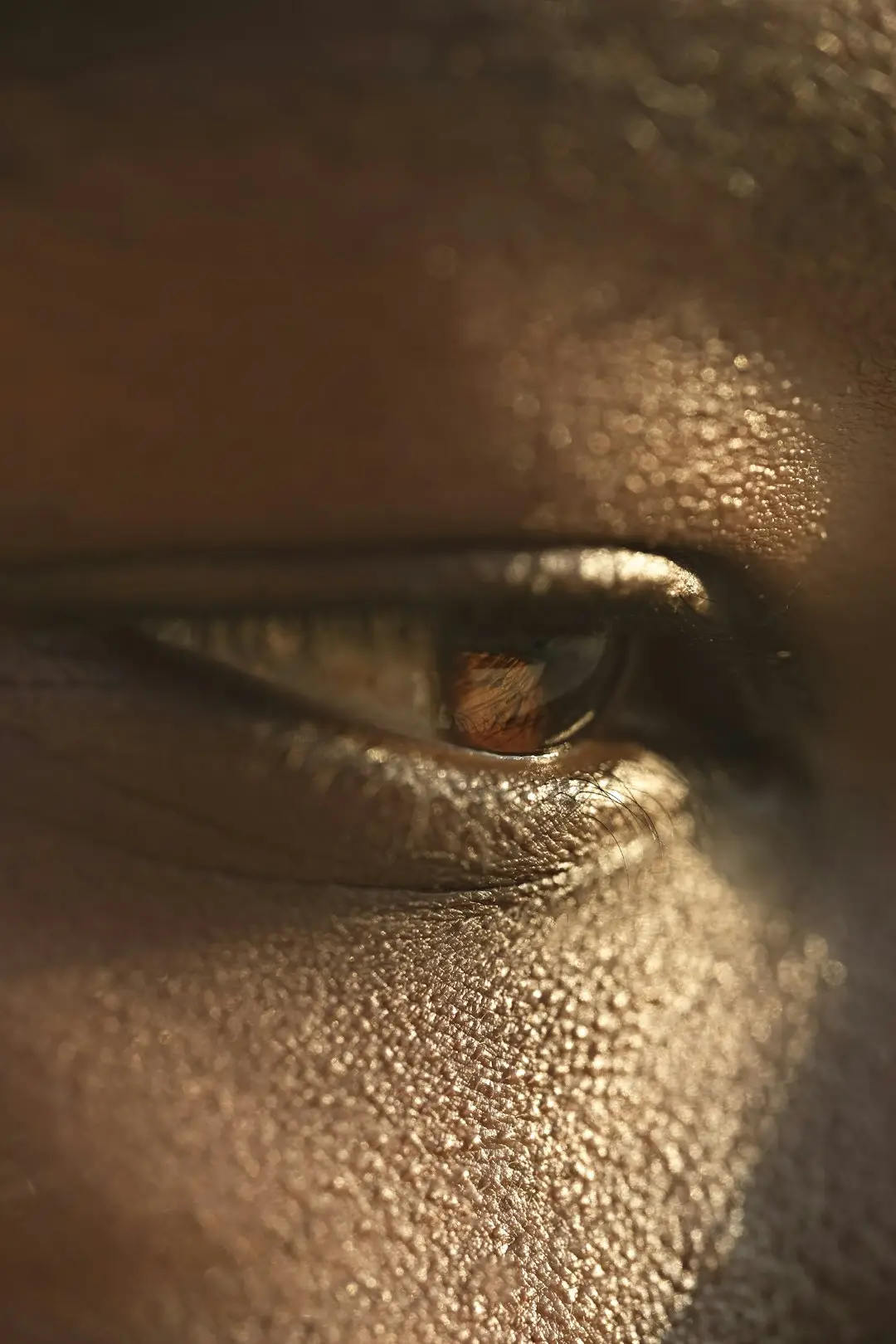 Sombra para olhos castanhos: o que realça